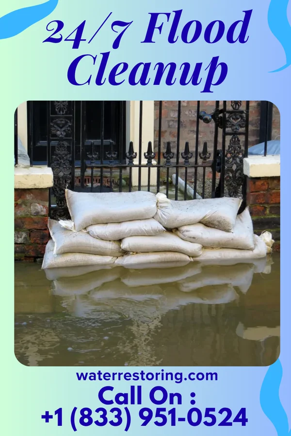 24/7 Flood Cleanup in Sylvester, WV