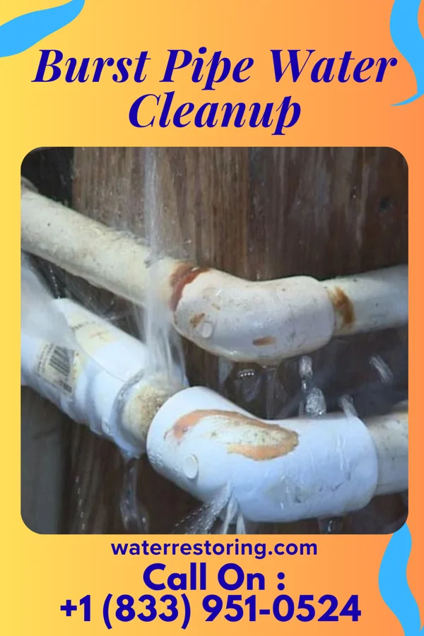 Burst Pipe Water Cleanup in Sylvester, WV