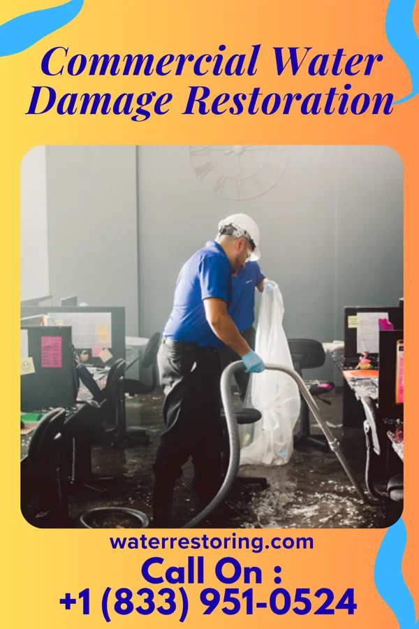 Commercial Water Damage Restoration in Sylvester, WV