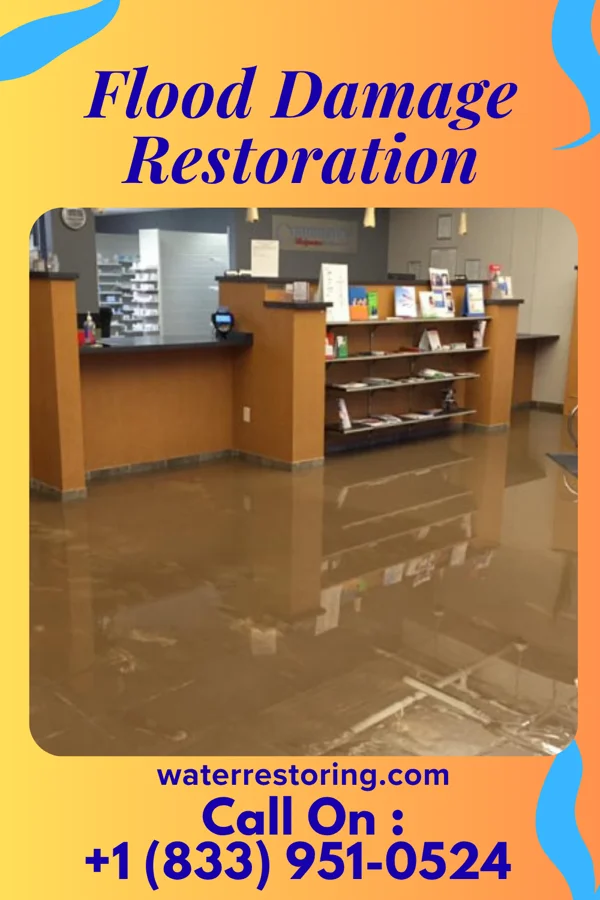Flood Damage Restoration in Sylvester, WV