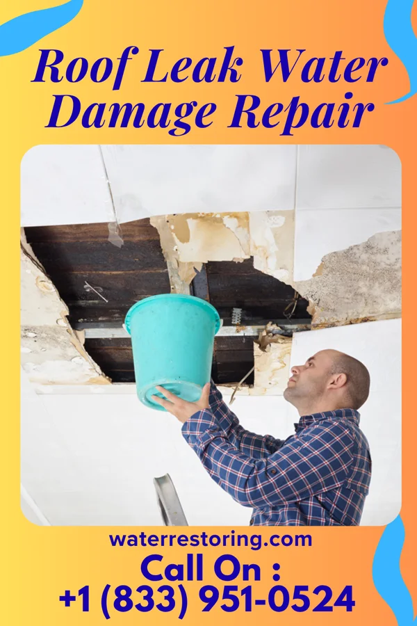 Roof Leak Water Damage Repair in Sylvester, WV