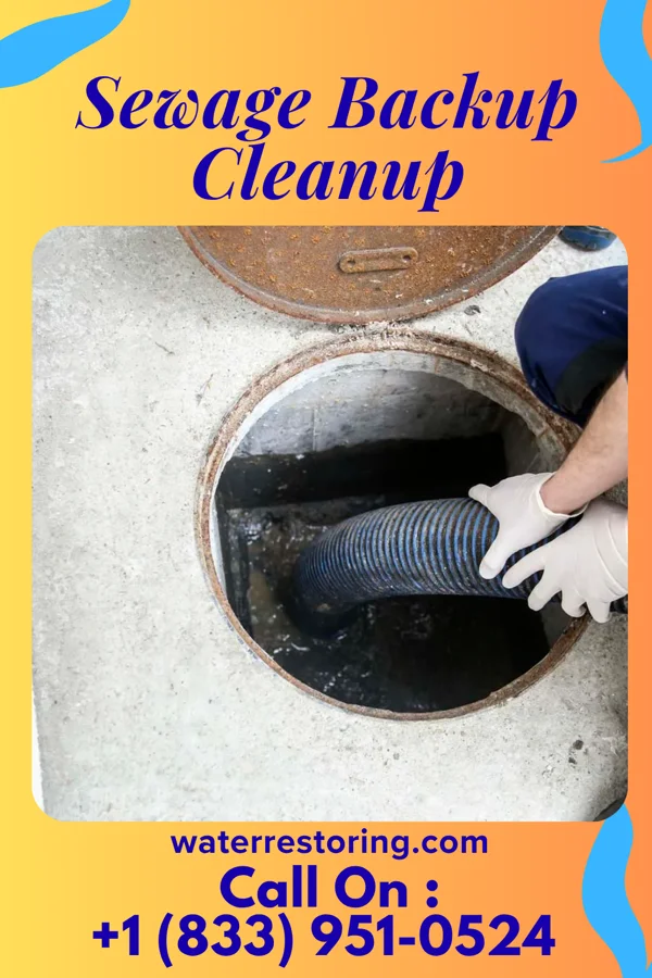 Sewage Backup Cleanup in Sylvester, WV