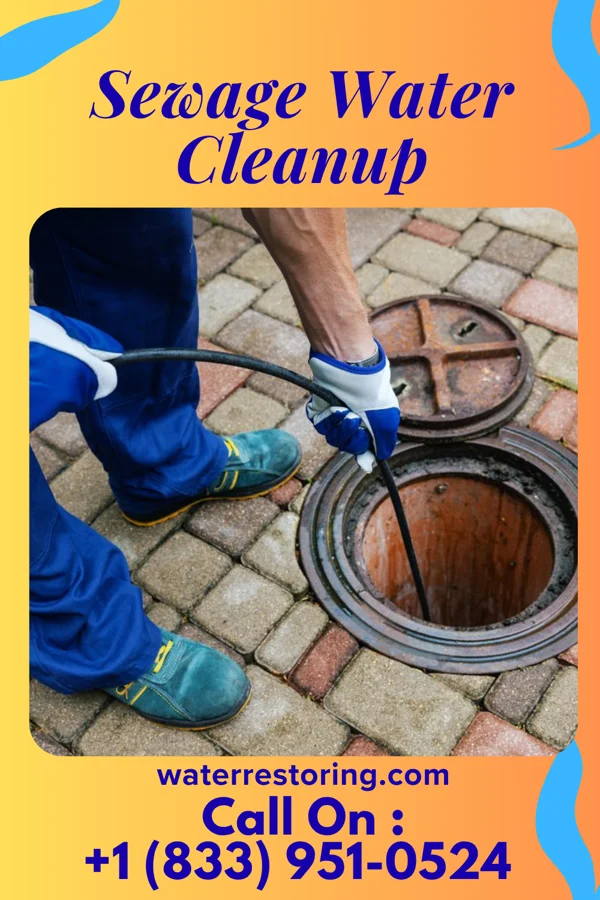 Sewage Water Cleanup in Sylvester, WV